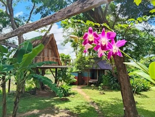 Fandee Island nature stay in Tad Lo, southern Laos